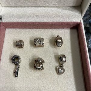 Pandora Charms